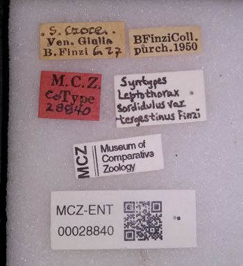 Media type: image;   Entomology 28840 Aspect: labels
